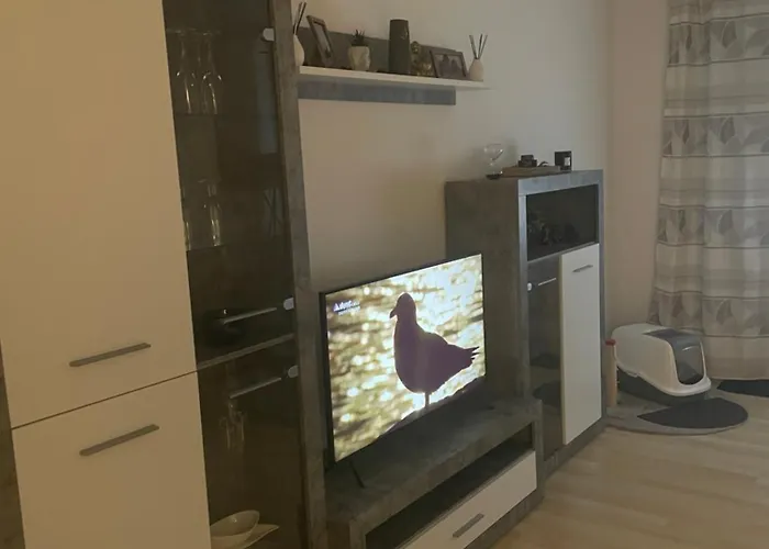 Komfortables 1-zimmer-appartement アパート *